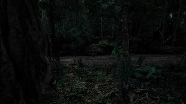 Dim forest trail at twilight, curving path bordered by ferns and shrubs, damp soil and deep pockets of shadow, suspenseful moody atmosphere