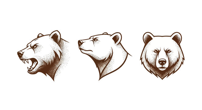 Three distinct bear head illustrations in brown ink.