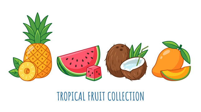 A vibrant tropical fruit collection featuring pineapple, orange, watermelon, coconut, and assorted fruits