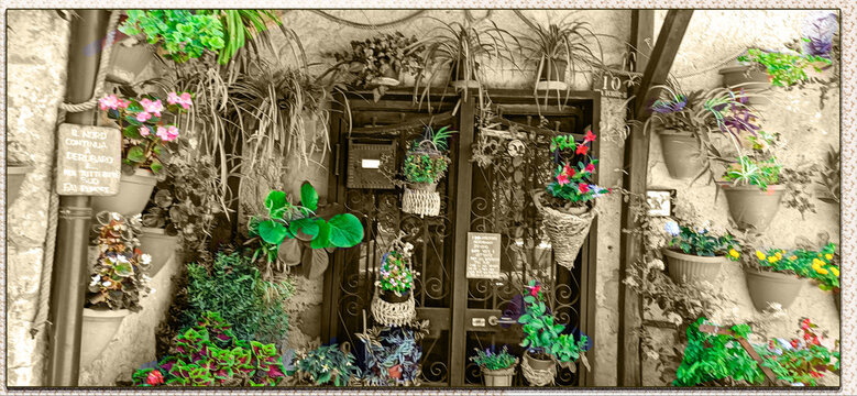 Foto  con effetto antico   on piante e fiori  colorati 