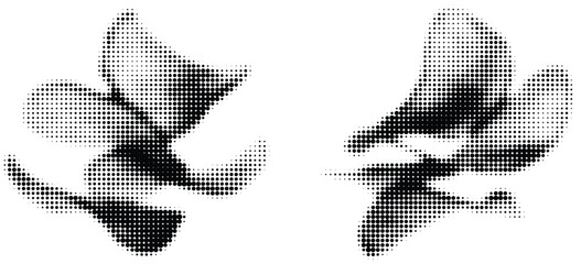 Abstract floral halftone set with dot pattern. Artistic magnolia flower shapes in black and white, stylish dotted geometric illustration for modern graphic design, poster, banner and branding projects © Hoody Baba