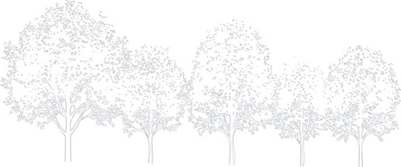 Set of four simple hand drawn trees illustration with foliage and trunks in a minimalist artistic graphic style © Asad