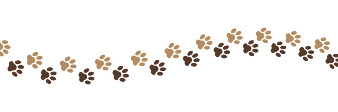 Cute pet paw print border, Dog and cat footprint divider with simple walking tracks for decorative frames and vector design.