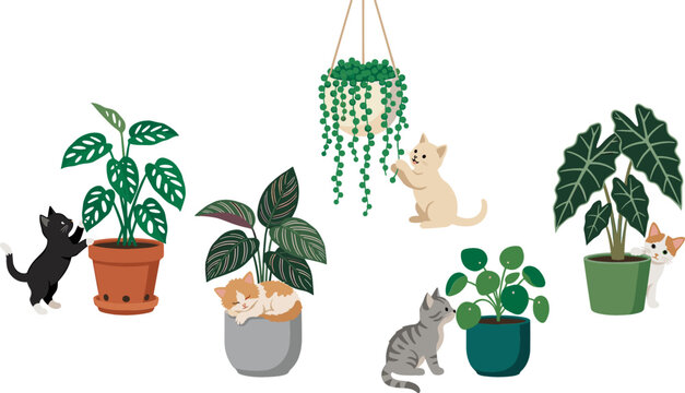 Cute Playful Kittens and Houseplants Vector Character Set with Cats Sleeping in Pots Climbing Hanging Vines and Peeking Behind Leaves for Home Decor Designs