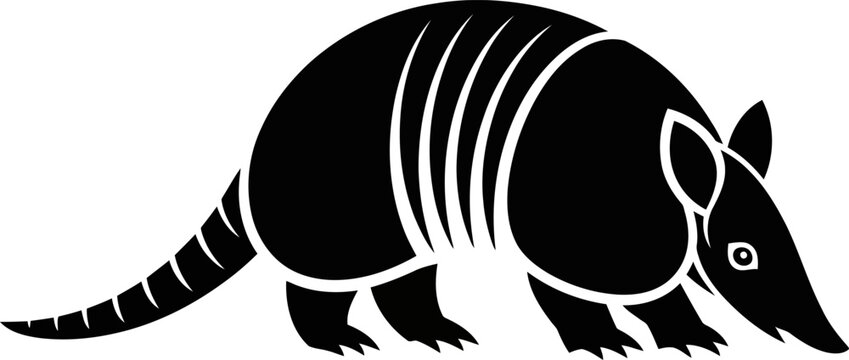 Armadillo standing sideways with shell and tail  wild animal