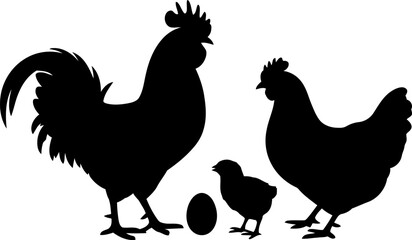 Black silhouettes of rooster hen and chick with egg on white background © SAYEDAJANNATUL