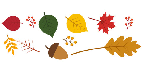 Autumn harvest elements collection with fall leaves, berries and acorn © VECTOR BUNDLE
