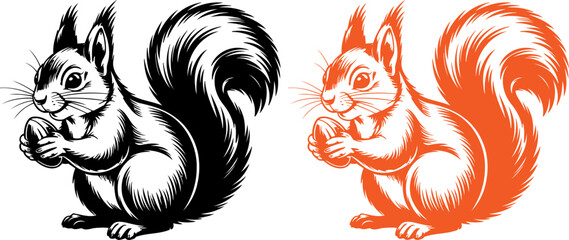 Fototapeta premium Two detailed squirrel illustrations holding nuts in their paws side by side
