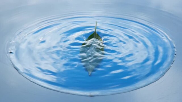 Green leaf falling into clear water creating ripples with sky reflection.