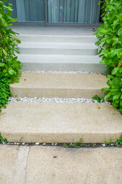 Empty white staircase and tree,minimal style,garden in morning,Long stair concrete in office building.