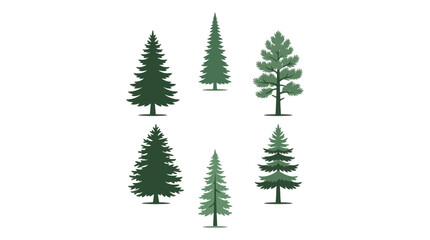 Assorted coniferous tree illustrations © BudiSantoso