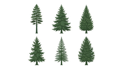 Assorted coniferous trees collection © BudiSantoso