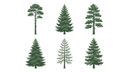 Fototapeta premium Assorted evergreen tree illustrations