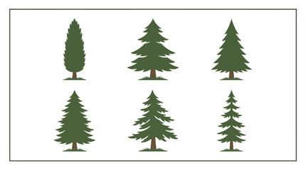 Obraz premium Assorted evergreen tree illustrations