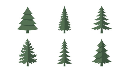 Obraz premium Assortment of evergreen tree illustrations