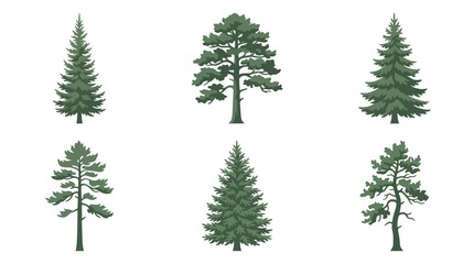 Obraz premium Assorted evergreen tree illustrations