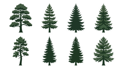 Obraz premium Assortment of evergreen tree silhouettes