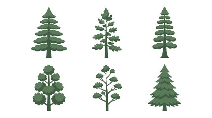 Collection of diverse coniferous evergreen trees © Agustasptrr