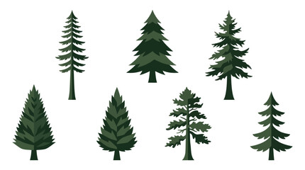 Obraz premium Assortment of evergreen trees