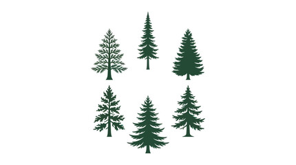 Obraz premium Assorted evergreen tree silhouettes