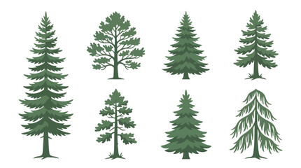 Obraz premium Assortment of evergreen trees