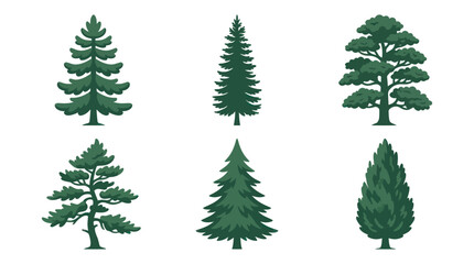 Obraz premium Assortment of evergreen trees