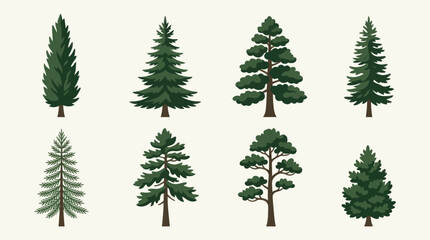 Obraz premium Assortment of evergreen trees