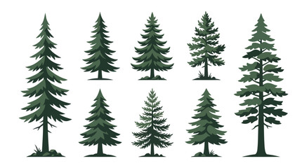 Obraz premium Assortment of evergreen trees