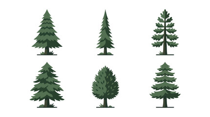 Obraz premium Assortment of evergreen trees