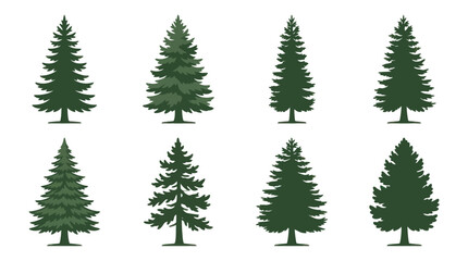 Obraz premium Assorted evergreen tree silhouettes