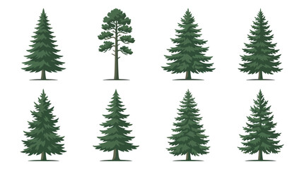 Obraz premium Collection of evergreen tree illustrations
