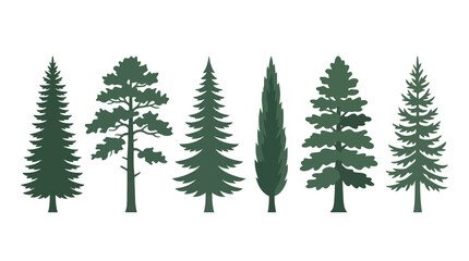 Obraz premium Assorted evergreen tree silhouettes