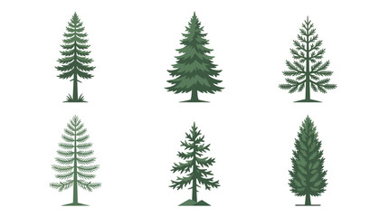 Fototapeta premium Collection of evergreen tree illustrations