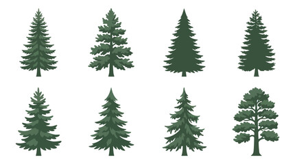 Obraz premium Collection of evergreen tree icons