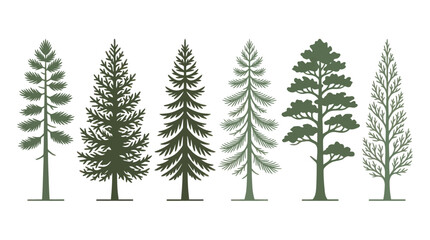 Obraz premium Assorted evergreen tree silhouettes