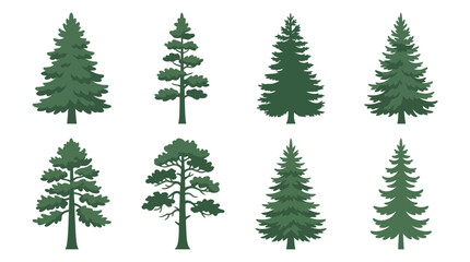 Obraz premium Collection of evergreen tree illustrations