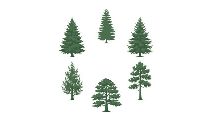 Obraz premium Assorted evergreen trees collection