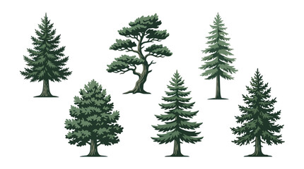 Obraz premium Assortment of evergreen trees illustration