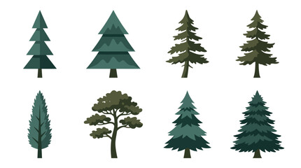 Fototapeta premium Collection of evergreen tree illustrations