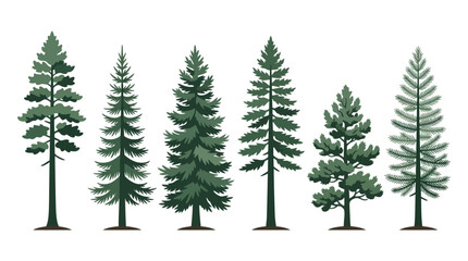 Fototapeta premium Collection of evergreen tree silhouettes