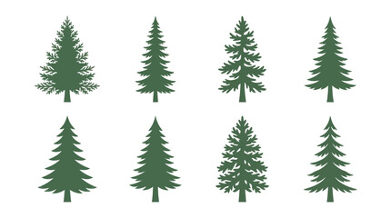 Obraz premium Collection of evergreen tree silhouettes