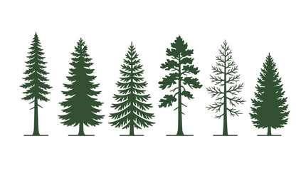Obraz premium Collection of evergreen tree silhouettes