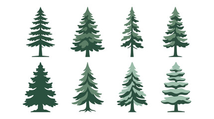 Obraz premium Collection of evergreen tree illustrations