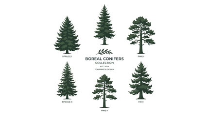 Boreal conifer tree collection © Aester