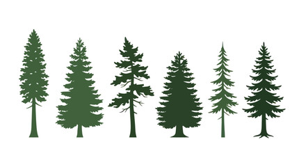 Obraz premium Collection of evergreen tree silhouettes
