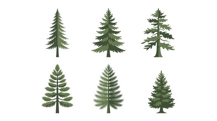 Obraz premium Collection of evergreen tree illustrations