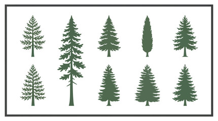 Obraz premium Collection of evergreen tree silhouettes