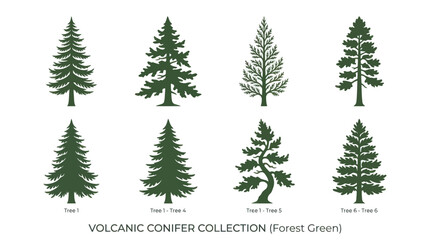 Collection of evergreen tree silhouettes © angelina