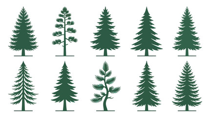 Obraz premium Collection of evergreen tree silhouettes