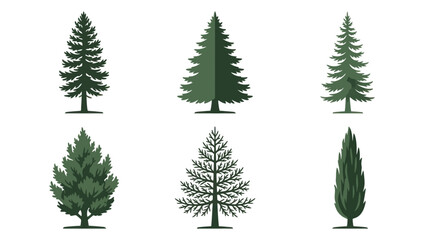 Obraz premium Collection of evergreen tree illustrations